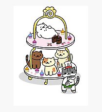Neko Atsume Party! Fotodruck