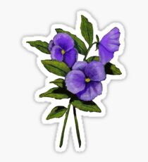 Purple Pansies: Original Colour Pencil Drawing, Flowers Sticker