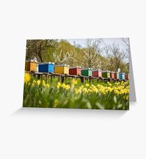 Bee hives in the field and orchard Greeting Card