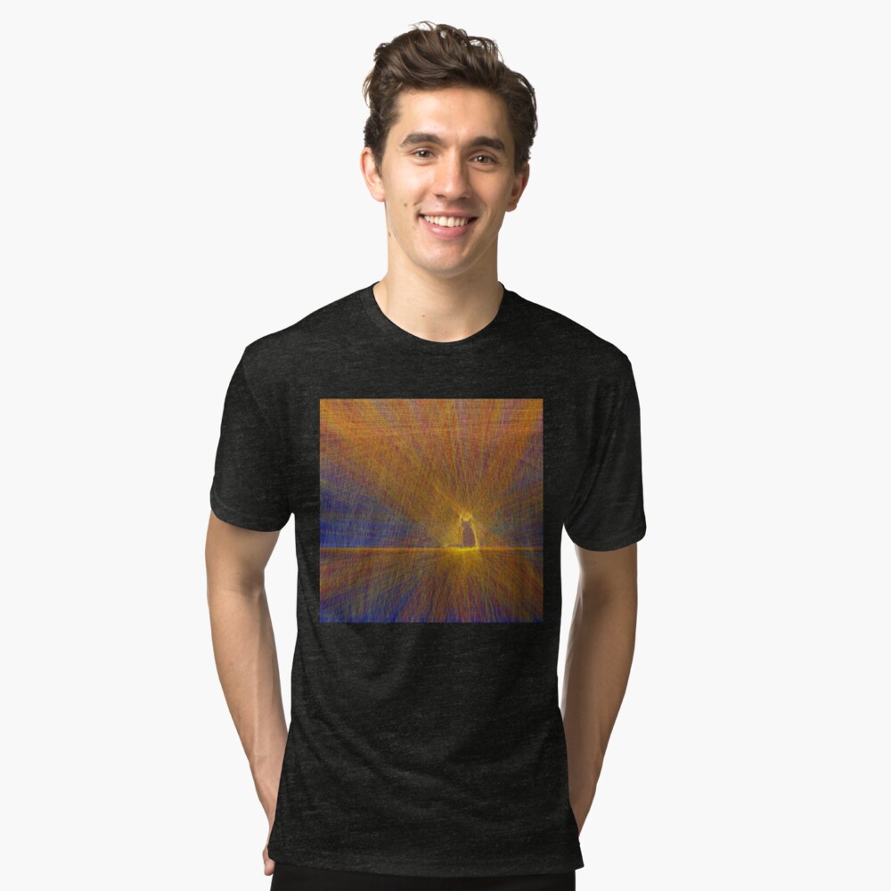 Cat on the roof Tri-blend T-Shirt