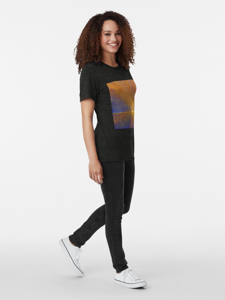 Alternate view of Cat on the roof Tri-blend T-Shirt