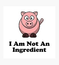 Ingredient Pig Photographic Print
