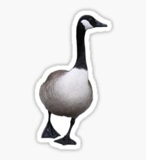 Best foot forward Sticker