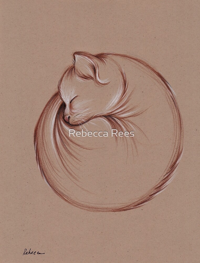 Slumber - Sleeping Cat Zen Drawing by Rebecca Rees