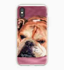 Sleeping English Bulldog with Background iPhone Case