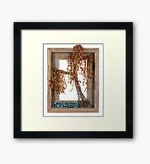 Autumn Willow Tree Framed Print