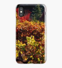 Autumn Vineyard Landscape iPhone Case