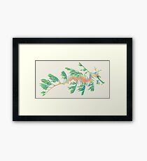 Blue-green leafy seadragon Framed Print