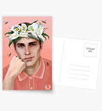 Flower King Postcards
