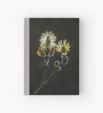 Male Goat Willow Hardcover Journal