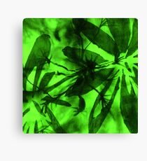 Vibrant Green -"Bird On A Branch" Canvas Print