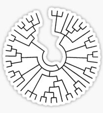 Phylogenetic Tree Sticker