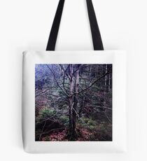 deciduous tree Tote Bag