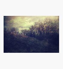 Seasonal Photographic Print