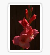 Red Spotlight Sticker