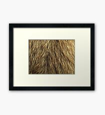 Dog fur Framed Print