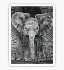 Sheltered Sticker