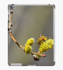 Gathering pollen iPad Case/Skin