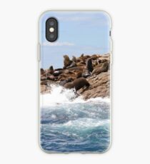 Australische Pelzrobben, Bruny Island iPhone-Hülle & Cover