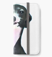 Kermit-Hundeboy iPhone Flip-Case/Hülle/Skin
