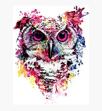 Owl Photographic Print