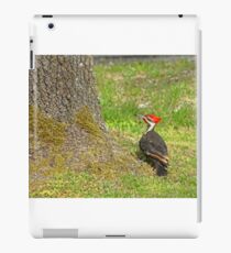 Pileated Woodpecker iPad Case/Skin