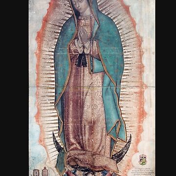 Virgen De Guadalupe Print Catholic Art Print Virgin Mary, Our Lady of  Guadalupe Print, High Quality, Father's Day Gift, Religious Gift 