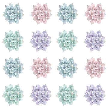 Watercolor Succulents Pattern Art Board Print for Sale by