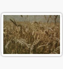 Wheat Field Sticker