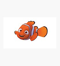 Nemo Photographic Print