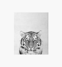 Tiger Art Board