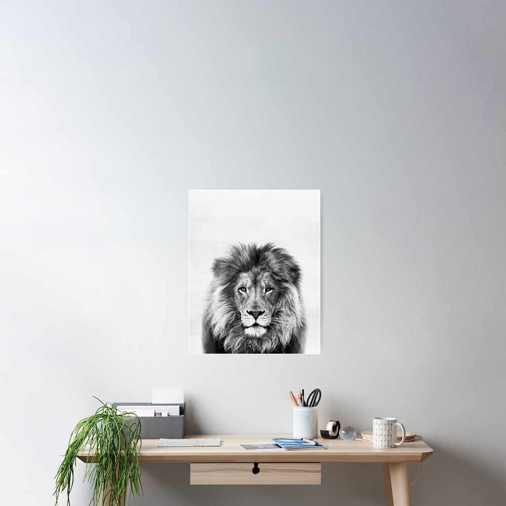 Lion Poster
