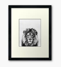 Lion Framed Print