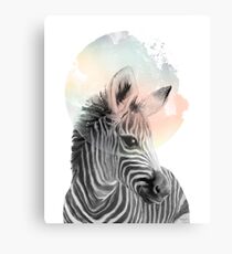 Zebra // Träumen Leinwanddruck