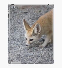 Fennec Fox 2 iPad Case/Skin