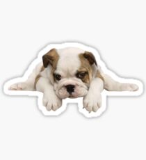 Bulldog Puppy Sticker