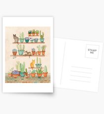 Cats and Cacti Postcards