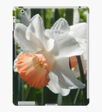 Two-tone Daffodils iPad Case/Skin
