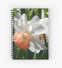 Two-tone Daffodils Spiral Notebook