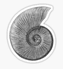 Ammonite Fossil Sticker