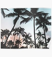 Palm trees Sunset Poster