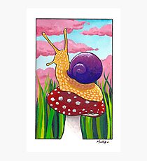 Serenity Photographic Print
