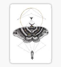 Lepidoptera Sticker