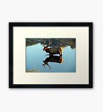 Knee Deep in Stillness Framed Print