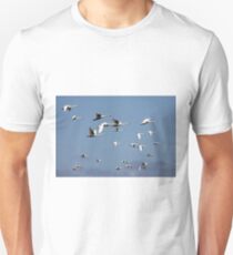 Mute Swans in Flight Unisex T-Shirt