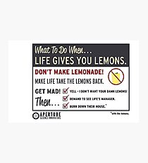 Lemons, portal 2 Photographic Print