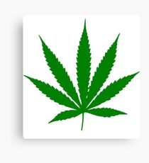 Marijuana Canvas Print