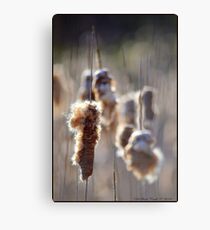 Marching Soldiers Canvas Print