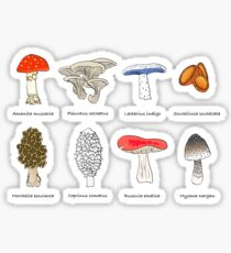Mushroom Mania Sticker