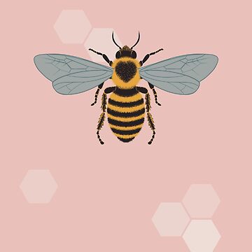 Artwork thumbnail, Sweet Bee by ElleMacNeil